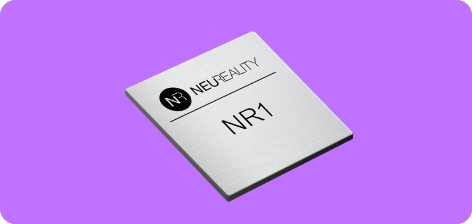 NR1 Network Addressable Processing Unit